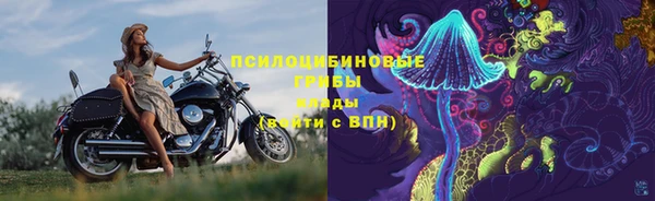амф Струнино
