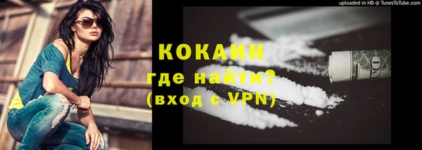 эйфоретик Тайга