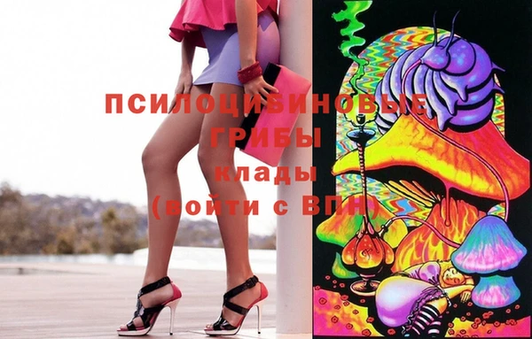 гашик Балахна
