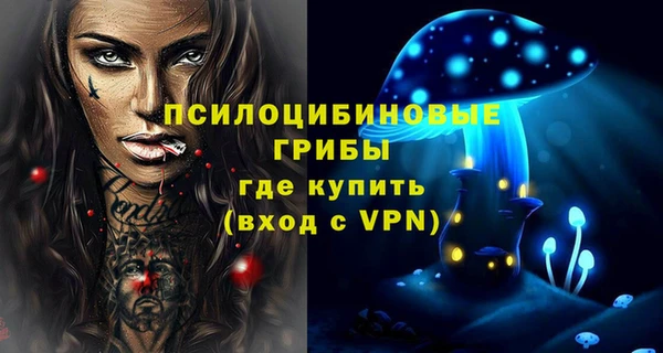 эйфоретик Тайга